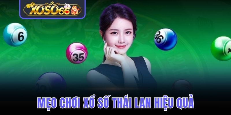 Mẹo chơi Lotto Thái hiệu quả hội viên có thể áp dụng